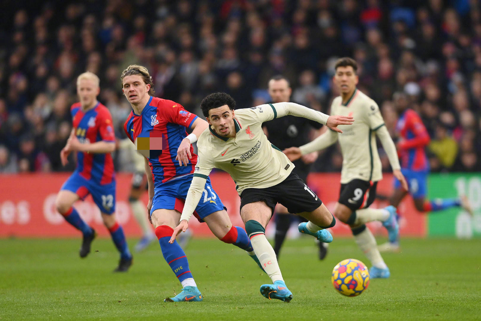 美国U系列 美国U系列